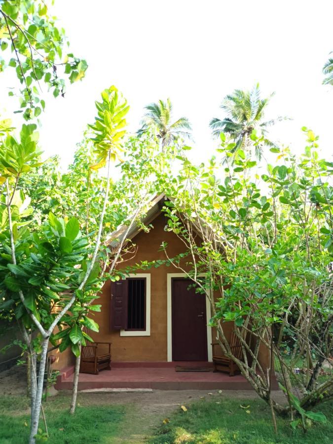 By The C' Cabanas Hikkaduwa Exterior foto